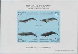 Thematik: Tiere-Meeressäuger (u.a. Wale) / Animals-aquatic Mammals: 1993, Monaco, Environmental Prot - Other & Unclassified