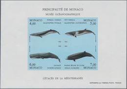 Thematik: Tiere-Meeressäuger (u.a. Wale) / Animals-aquatic Mammals: 1993, Monaco, Environmental Prot - Andere & Zonder Classificatie