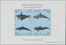 Thematik: Tiere-Meeressäuger (u.a. Wale) / Animals-aquatic Mammals: 1994, Monaco, Environmental Prot - Other & Unclassified