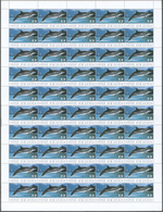 Thematik: Tiere-Meeressäuger (u.a. Wale) / Animals-aquatic Mammals: 2003, ENDANGERED DOLPHINS. Lot O - Other & Unclassified