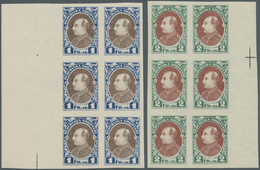 Albanien: 1925, Definitive Issue 'Achmed Zogu' UNISSUED Stamps 1fr. Blue/brown And 2fr. Grey Green/r - Albanien