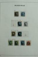 Belgien: 1849-1988: Very Extensive, MNH, Mint Hinged And Used, Specialised Collection Belgium 1849-1 - Collections