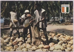 Delcampe - CPM - RECOLTE Des NOIX De COCO - Edition Agence Ivoirienne Hachette - Elfenbeinküste