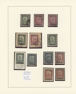 Jugoslawien: 1918/1919, Overprints On Bosnia (Express Stamps, Invalids Stamps And Newspaper Stamps), - Covers & Documents