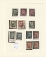 Jugoslawien: 1918/1919, Overprints On Bosnia (Express Stamps, Invalids Stamps And Newspaper Stamps), - Briefe U. Dokumente