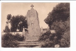 Delcampe - Trebeurden - Le Menhir De Penvern - Trébeurden