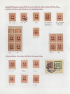 Polen: 1919/1923, Specialised Collection Of Apprx. 1.220 Stamps Neatly Arranged On Album Pages In A - Covers & Documents
