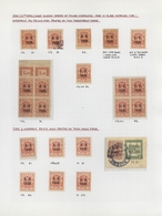 Polen: 1919/1923, Specialised Collection Of Apprx. 1.220 Stamps Neatly Arranged On Album Pages In A - Storia Postale