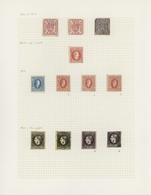 Rumänien: 1864/1946, Sophisticated Mint And Used Collection On Album Pages In Three Binders, Showing - Used Stamps