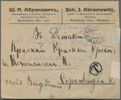 Russland: 1878/1915 Small Holding Of About 67 Items All From The Baltic Sent By Rail Mail, While Cov - Storia Postale