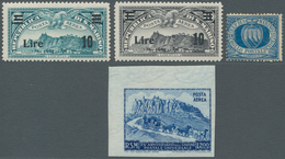 San Marino: 1877/1956, Postfrischer Posten Auf Zwei Steckkarten Ab Mi-Mr. 2 Postfrisch Mit Minimalen - Gebruikt