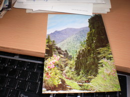 Delcampe - Der Sieben Stufen Felsen - Korea (Nord)