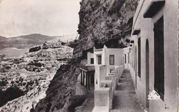 Delcampe - Vers 1950 L'AURES / HOTEL TRANSATLANTIQUE DE ROUFFI - Batna