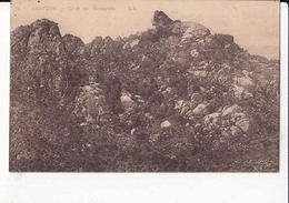 Delcampe - CPA 20 - Sartène - Lion De Rocapina    : Achat Immédiat - Sartene
