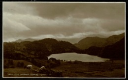 Ref 1267 - Judges Real Photo Postcard - Sheep At Llyn Gwynant - Caernarvon Wales - Caernarvonshire