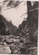 Delcampe - DAV :  Corse :    Corte  Gorges  Du  Tavignano - Corte
