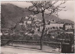Delcampe - DAV :  Corse :    CORTE : Vue - Corte