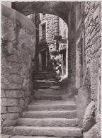 Delcampe - DAV :  Corse :   SARTENE :  Rue D Ela   Vieille  Ville - Sartene