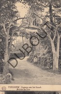 Delcampe - Postkaart-Carte Postale TIEGEM Ingang Van Het Bos St-Arnoldus Park (L152) - Anzegem