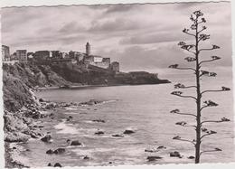 Delcampe - DAV :  Corse : BASTIA :  Vue - Bastia