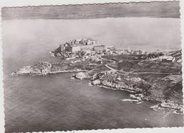 Delcampe - DAV :  Corse : CALVI    Vue - Calvi