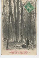 Delcampe - LYONS LA FORET - Cépée Des 4 Chênes - Lyons-la-Forêt