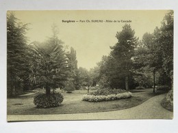 Delcampe - Carte Postale : 17 SURGERES : Parc Ch. SUREAU : Allée De La Cascade, En 1911 - Surgères