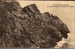 Delcampe - 29 LA POINTE DU RAZ  LA TETE DE COCHON ET LE CHAPEAU DU GENERAL - La Pointe Du Raz