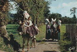 Delcampe - 50 Avranches. Coiffes Normandes - Avranches