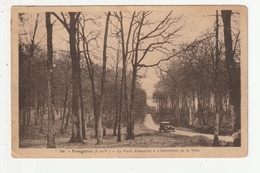 Delcampe - FOUGERES - LA FORET DOMANIALE A 2 KILOMETRES DE LA VILLE - 35 - Fougeres