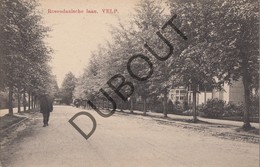 Delcampe - Postkaart VELP RHEDEN Rozendaal Rosendaalsche Laan (L144) - Rheden