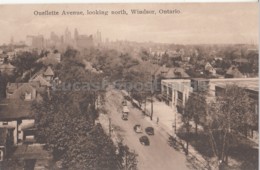 Delcampe - Windsor - Ouellette Avenue Looking North - Windsor
