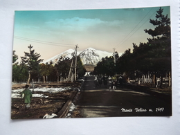 Delcampe - H3529  CARTOLINA SALUTI DA  AVEZZANO  MONTE VELINO   VIAGGIATA - Avezzano