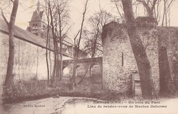 Delcampe - NANGIS - Un Coin Du Parc - Lieu De Rendez-vous De Marion Delorme - Nangis