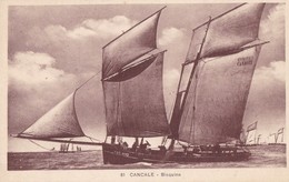 Delcampe - CANCALE - Bisquine - Cancale
