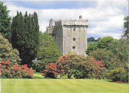 Delcampe - Blarney Castle - Château - Cork
