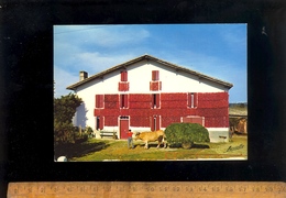 Delcampe - PAYS BASQUE Pyrénées Atlantiques 64 : Séchage Des Piments Dans Une Ferme Basque D'Espelette - Espelette