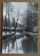 Delcampe - (K52) - Retie : De Witte Nete - Retie