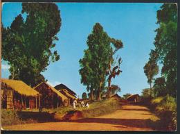 Delcampe - °°° 13106 - ETHIOPIA ETIOPIA - SCENERY PAYSAGE WONDO - 1967 With Stamps °°° - Äthiopien