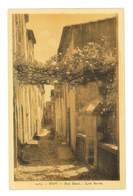 Delcampe - CPA 06 BIOT RUE BASSE - Biot