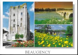 Delcampe - 45 Beaugency - Beaugency