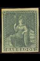 BARBADOS - Barbados (...-1966)