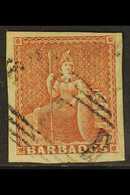 BARBADOS - Barbados (...-1966)