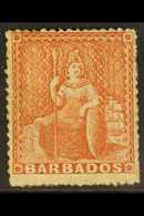 BARBADOS - Barbados (...-1966)