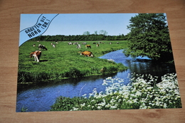 Delcampe - 7545-   GROETEN UIT NORG - Norg