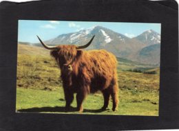 83311    Regno Unito,  A Monarch Of The Glen,  NV - Sonstige & Ohne Zuordnung