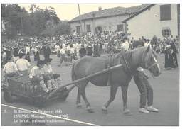 Saint Etienne De Baigorry - Mariage Basque 1900 - Le Lerrak, Traineau Traditionnel - Attelage De Cheval - Saint Etienne De Baigorry