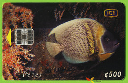 Voyo COSTA RICA Fishes 500 Colones - Set Of Two With Chip - Costa Rica