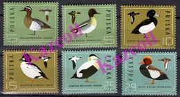 Poland 1985. Ducks. Fauna. Birds. MNH - Other & Unclassified