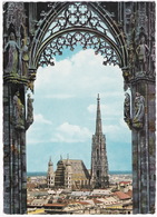 Wien - Stephandom (1964) - Stephansplatz